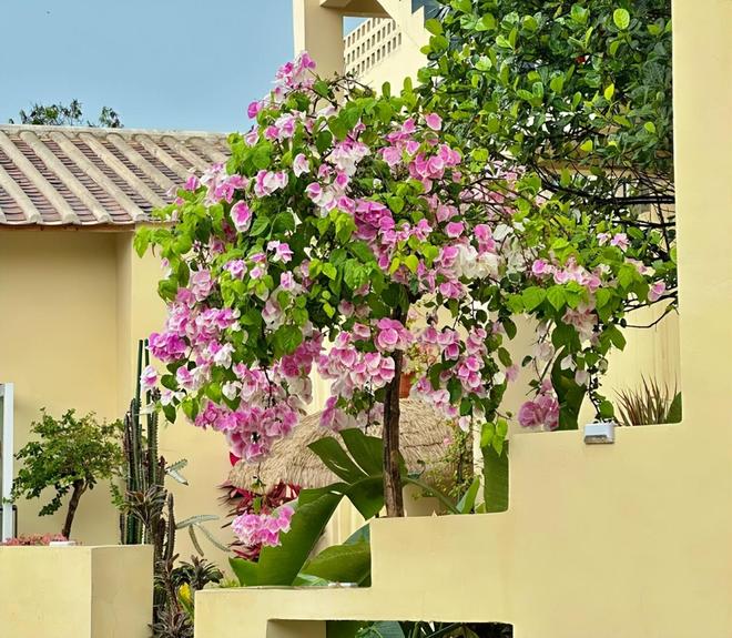 北海亲子游5天4晚价格跟团五日游报价开元棋牌网站北海亲子跟团游多少钱？(图6)